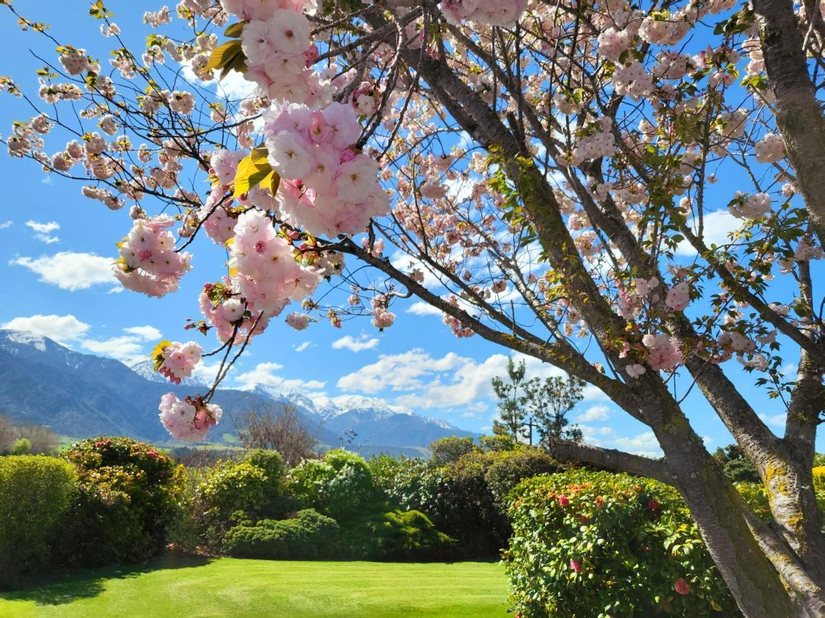 Te Mahuru Retreat 카이코라 외부 사진