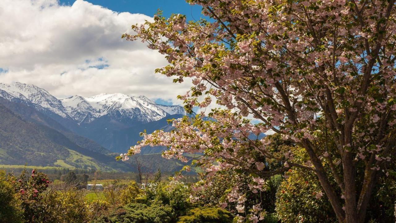 Te Mahuru Retreat 카이코라 외부 사진